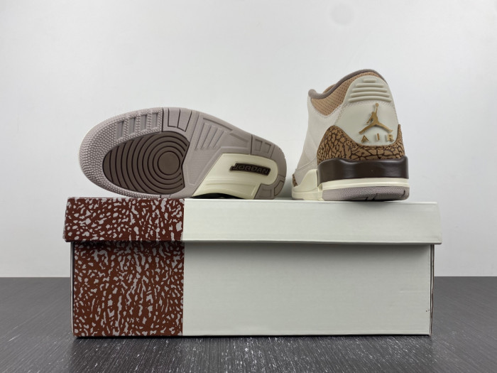 air jordan 3 “palomino” ct8532-102