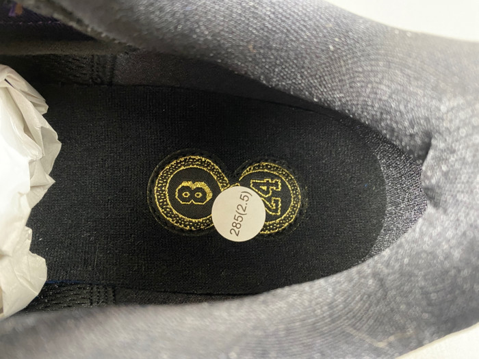 Nike Kobe 5 Protro Year of the Mamba Eggplant IB4481-500